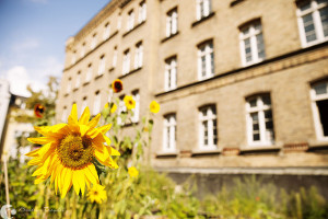 Von der Ermekeilkaserne zum Ermekeilkarree